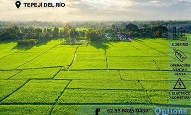 Tepejí del Río for sale or rent of industrial lots