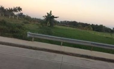 Prime 23-Hectare Commercial/Agri Land in Santiago City, Isabela, Philippines