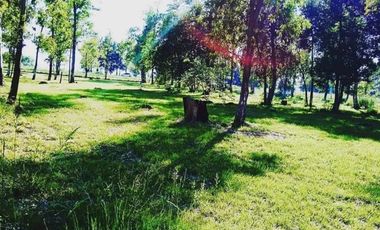 Lote Terreno 600 mts. En Venta Brisas del Sud - Florencio Varela, Proximamente