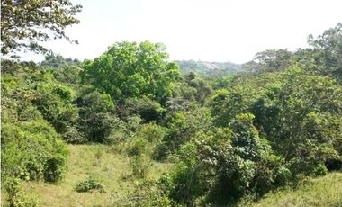 Venta de Terreno con 49,065m2 en Chilibre sobre Vía Transistmica