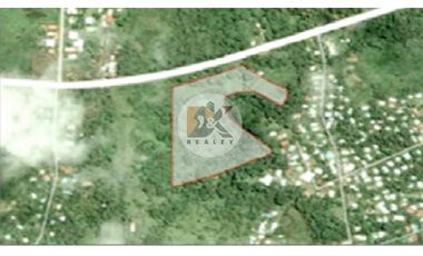Venta de Terreno con 49,065m2 en Chilibre sobre Vía Transistmica