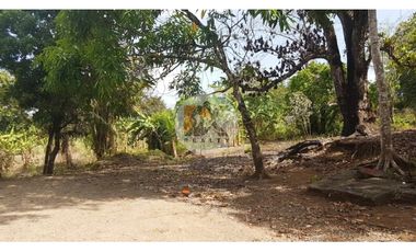 Venta de Terreno con 49,065m2 en Chilibre sobre Vía Transistmica