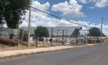 TERRENO EN RENTA COL. TIERRA NUEVA C.P. 31501 EN CD. CUAUHTEMOC, CHIHUAHUA.