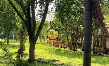 TERRENO EN VENTA CON DISTINTOS USOS DE SUELO, POR EL AEROPUERTO. TLAJ.  PROPIEDA