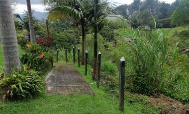 FINCAS PARA VENTA EN VEREDA SAN MIGUEL