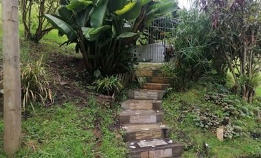 FINCAS PARA VENTA EN VEREDA SAN MIGUEL