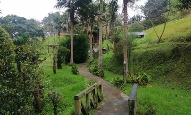 FINCAS PARA VENTA EN VEREDA SAN MIGUEL