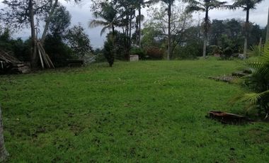 FINCAS PARA VENTA EN VEREDA SAN MIGUEL