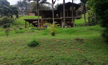 FINCAS PARA VENTA EN VEREDA SAN MIGUEL