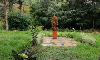 FINCAS PARA VENTA EN VEREDA SAN MIGUEL