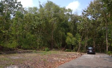 Tanah Di Jual Timur Tugu Pensil Wates-Kulonprogo, Cocok Infes, Nanggulan, Lendah