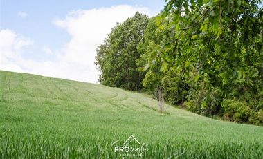 Parcela en Venta en Venta Parcelas en Condominio Lomas del Trebol, acceso Ruta 5S, 5.000 m2, Paillaco, Valdivia