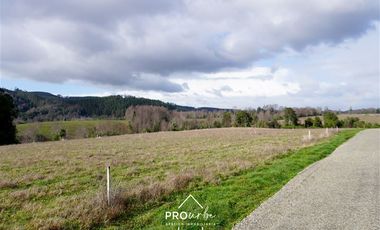 Parcela en Venta en Venta Parcelas en Condominio Lomas del Trebol, acceso Ruta 5S, 5.000 m2, Paillaco, Valdivia