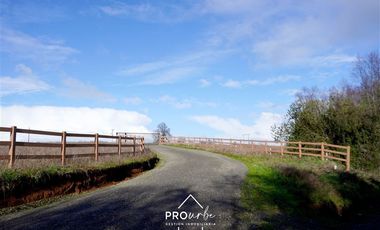 Parcela en Venta en Venta Parcelas en Condominio Lomas del Trebol, acceso Ruta 5S, 5.000 m2, Paillaco, Valdivia