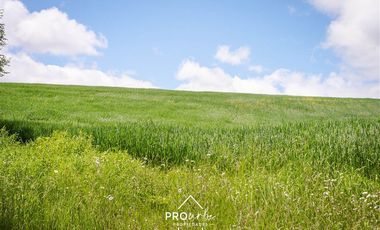 Parcela en Venta en Venta Parcelas en Condominio Lomas del Trebol, acceso Ruta 5S, 5.000 m2, Paillaco, Valdivia