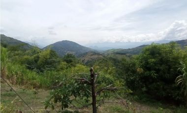 Venta finca / Lote 9,5 cuadras Santa Barbara suroeste antioqueño
