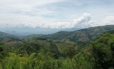 Venta finca / Lote 9,5 cuadras Santa Barbara suroeste antioqueño