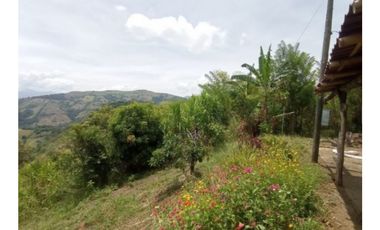 Venta finca / Lote 9,5 cuadras Santa Barbara suroeste antioqueño