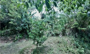 Venta finca / Lote 9,5 cuadras Santa Barbara suroeste antioqueño