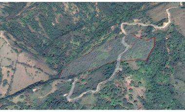 Venta finca / Lote 9,5 cuadras Santa Barbara suroeste antioqueño