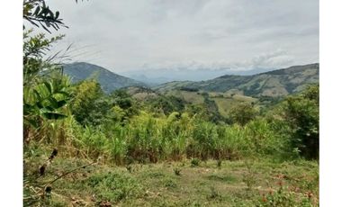 Venta finca / Lote 9,5 cuadras Santa Barbara suroeste antioqueño