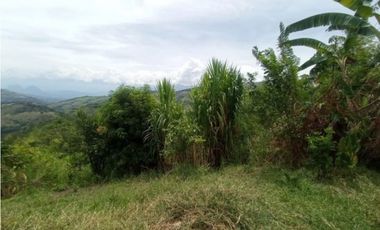 Venta finca / Lote 9,5 cuadras Santa Barbara suroeste antioqueño