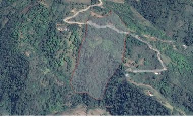 Venta finca / Lote 9,5 cuadras Santa Barbara suroeste antioqueño
