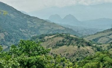 Venta finca / Lote 9,5 cuadras Santa Barbara suroeste antioqueño
