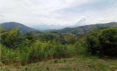 Venta finca / Lote 9,5 cuadras Santa Barbara suroeste antioqueño