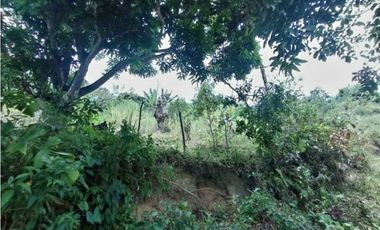 Venta finca / Lote 9,5 cuadras Santa Barbara suroeste antioqueño