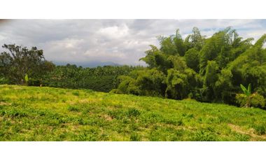 Lote en venta cerca de Armenia (Caimo) Quindío