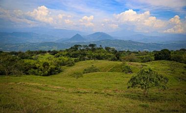 VENTA LOTE TAMESIS SUROESTE ANTIOQUEÑO