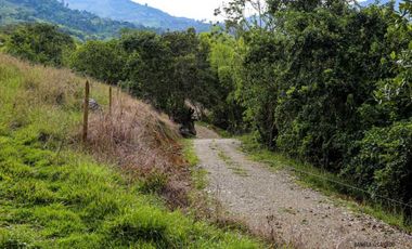 VENTA LOTE TAMESIS SUROESTE ANTIOQUEÑO