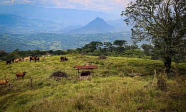 VENTA LOTE TAMESIS SUROESTE ANTIOQUEÑO