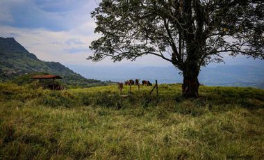 VENTA LOTE TAMESIS SUROESTE ANTIOQUEÑO