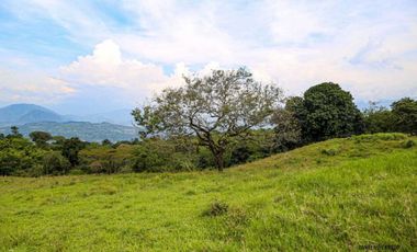 VENTA LOTE TAMESIS SUROESTE ANTIOQUEÑO