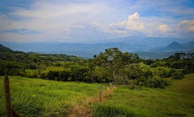 VENTA LOTE TAMESIS SUROESTE ANTIOQUEÑO