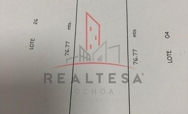 Terreno Renta Zona Industrial Robinson 20,000 Gergar RAO