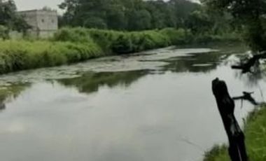 Tanah Medokan Sawah Timur 4.5 Juta