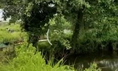 Tanah Medokan Sawah Timur 4.5 Juta
