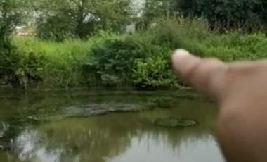 Tanah Medokan Sawah Timur 4.5 Juta