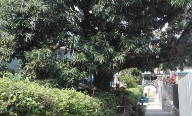 apartamento en venta en centro turistico  terrazas del sol. Cod V205226