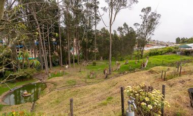 casa en venta en la calera. Cod V10488