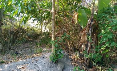 Rumah Murah Sendangsari