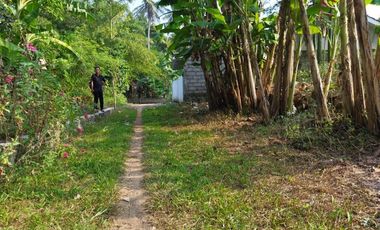 Rumah Murah Sendangsari