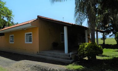 Tala - Rancho y Terreno en venta Cuisillos