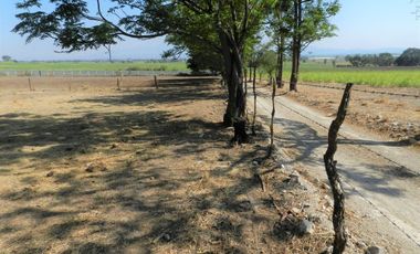 Tala - Rancho y Terreno en venta Cuisillos