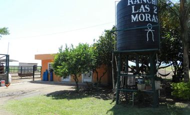 Tala - Rancho y Terreno en venta Cuisillos