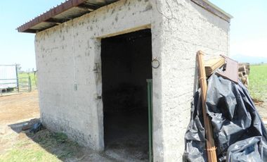 Tala - Rancho y Terreno en venta Cuisillos