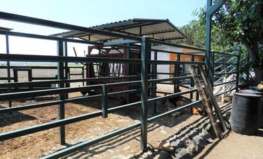 Tala - Rancho y Terreno en venta Cuisillos